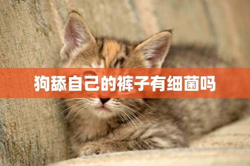 狗舔自己的褲子有細菌嗎