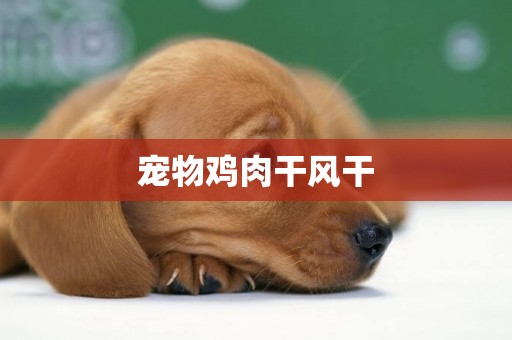 寵物雞肉干風干