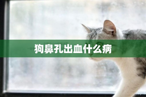 狗鼻孔出血什么病