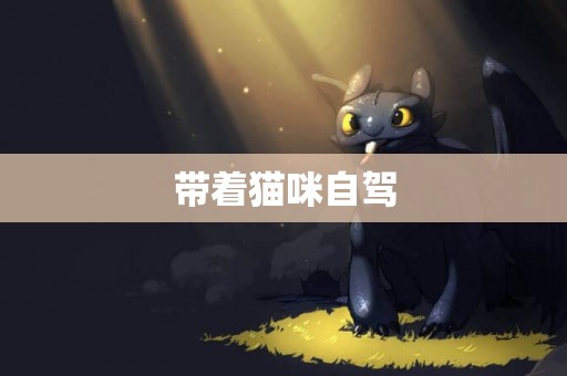 帶著貓咪自駕