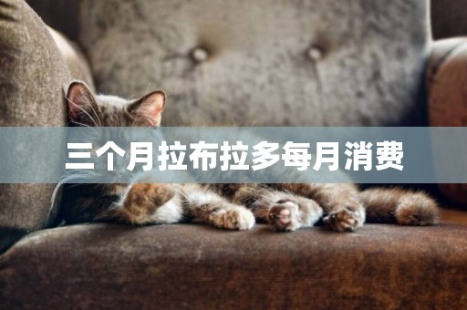 三個月拉布拉多每月消費