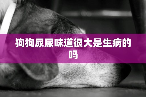 狗狗尿尿味道很大是生病的嗎