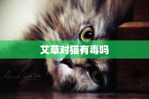艾草對貓有毒嗎