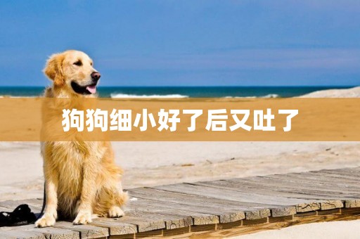 狗狗細小好了后又吐了