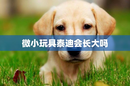微小玩具泰迪會長大嗎