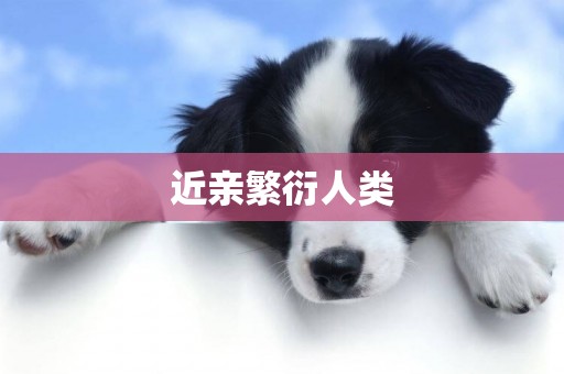 近親繁衍人類