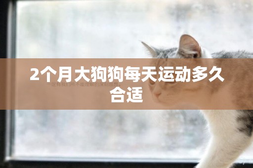 2個月大狗狗每天運動多久合適