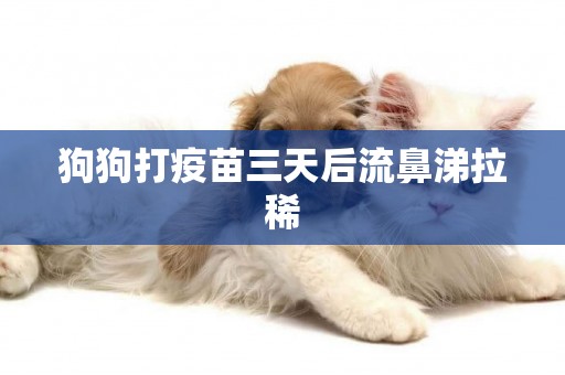 狗狗打疫苗三天后流鼻涕拉稀