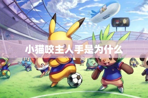 小貓咬主人手是為什么