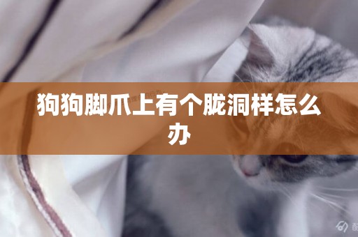 狗狗腳爪上有個朧洞樣怎么辦