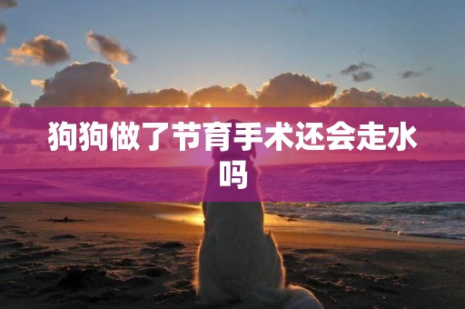 狗狗做了節育手術還會走水嗎