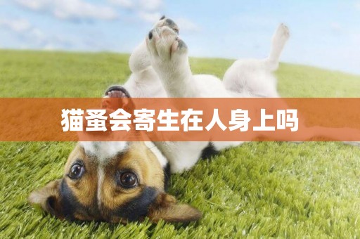 貓蚤會寄生在人身上嗎