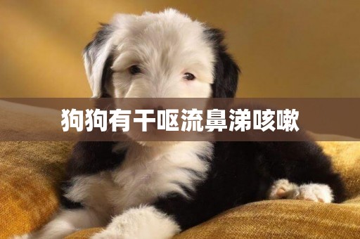 狗狗有干嘔流鼻涕咳嗽