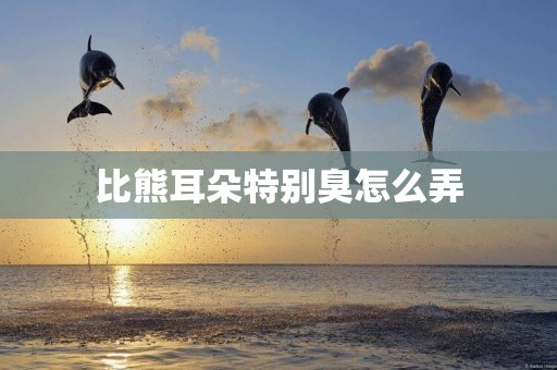 比熊耳朵特別臭怎么弄