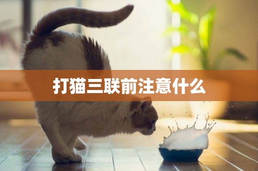 打貓三聯前注意什么
