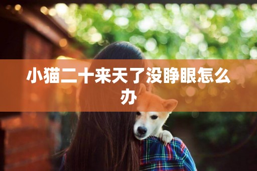 小貓二十來天了沒睜眼怎么辦