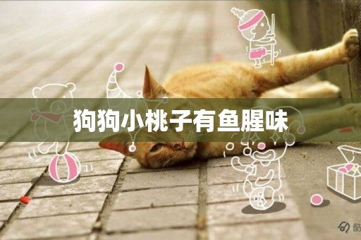 狗狗小桃子有魚腥味