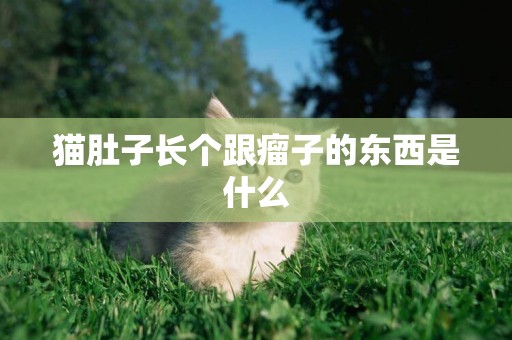 貓肚子長個跟瘤子的東西是什么
