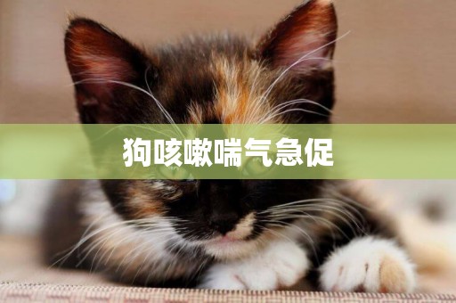 狗咳嗽喘氣急促
