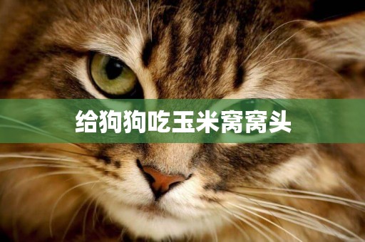 給狗狗吃玉米窩窩頭