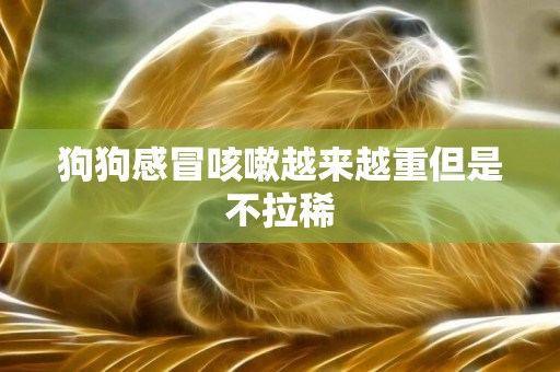 狗狗感冒咳嗽越來越重但是不拉稀