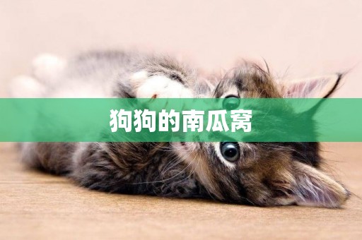 狗狗的南瓜窩