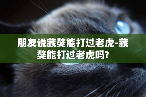 朋友說藏獒能打過老虎-藏獒能打過老虎嗎?