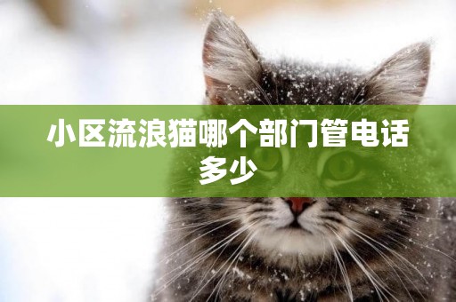 小區流浪貓哪個部門管電話多少