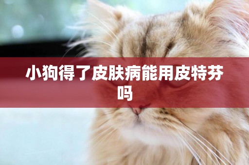 小狗得了皮膚病能用皮特芬嗎