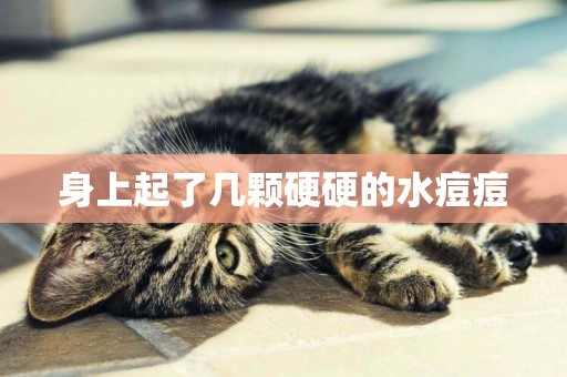 身上起了幾顆硬硬的水痘痘