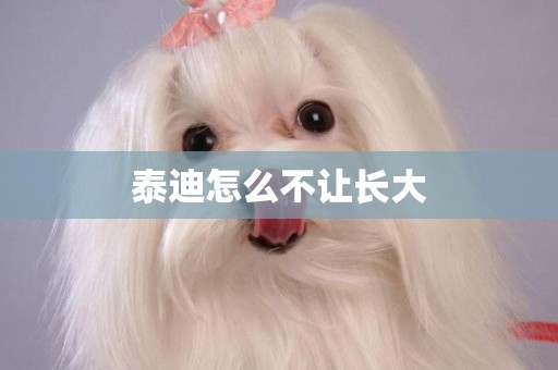 泰迪怎么不讓長大