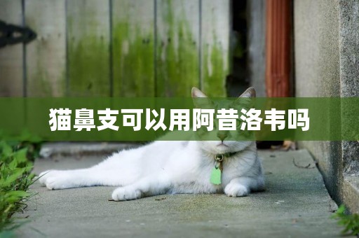 貓鼻支可以用阿昔洛韋嗎