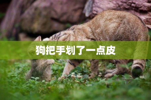 狗把手劃了一點皮