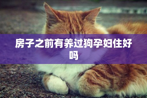 房子之前有養過狗孕婦住好嗎