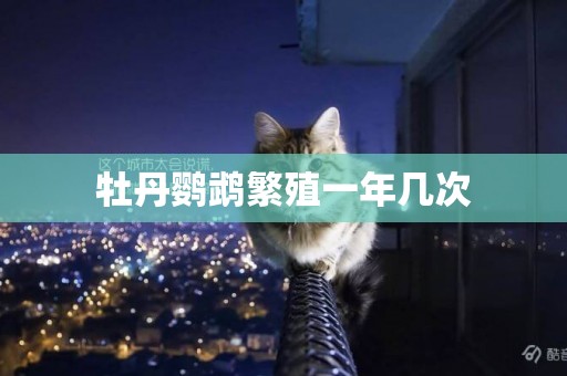 牡丹鸚鵡繁殖一年幾次