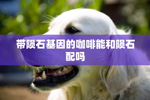 帶隕石基因的咖啡能和隕石配嗎