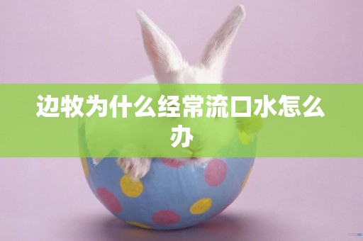 邊牧為什么經常流口水怎么辦