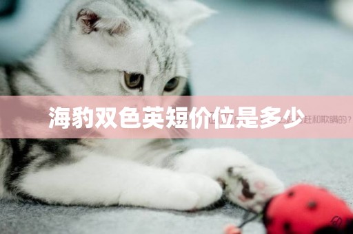 海豹雙色英短價位是多少