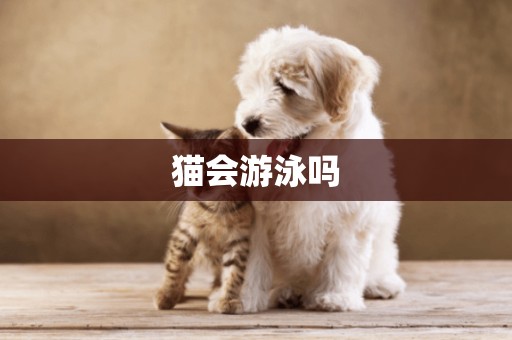 貓會游泳嗎