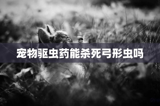 寵物驅蟲藥能殺死弓形蟲嗎