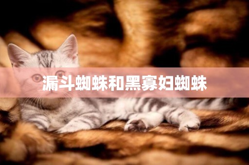 漏斗蜘蛛和黑寡婦蜘蛛