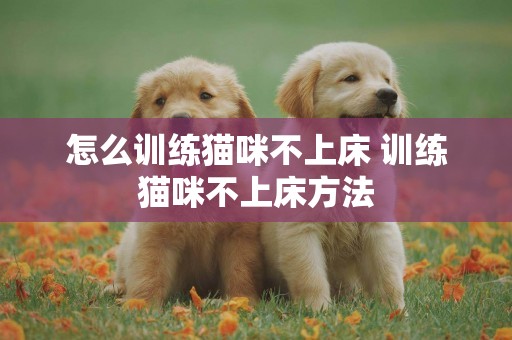 怎么訓練貓咪不上床 訓練貓咪不上床方法