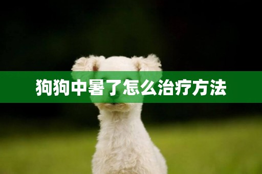 狗狗中暑了怎么治療方法