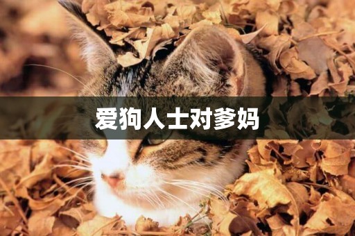 愛狗人士對爹媽