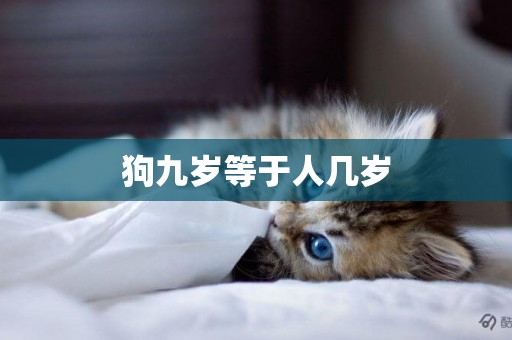 狗九歲等于人幾歲