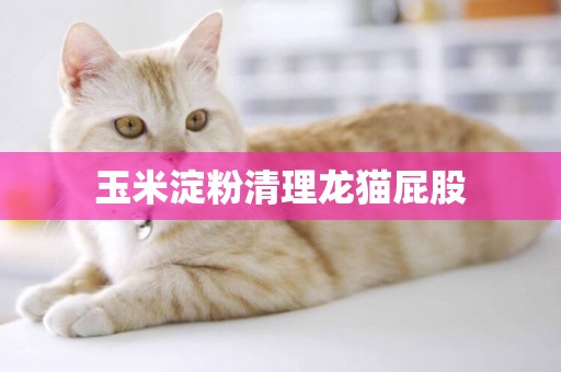 玉米淀粉清理龍貓屁股