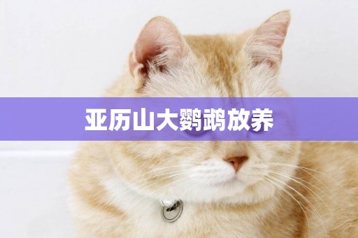亞歷山大鸚鵡放養