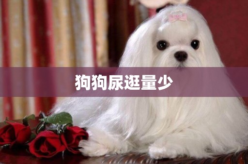 狗狗尿逛量少