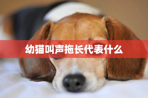 幼貓叫聲拖長代表什么