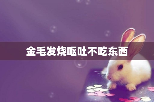 金毛發燒嘔吐不吃東西